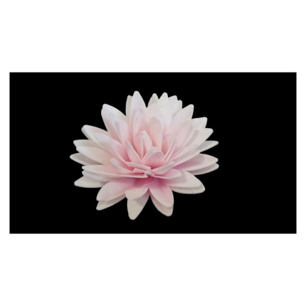 wafer cvjet bozur 125 cm roza 1760