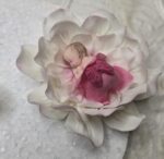 IMG 20250129 WA0033