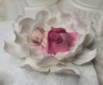IMG 20250129 WA0035