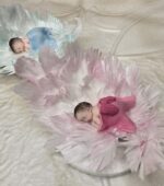 IMG 20250129 WA0036