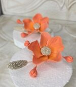 IMG 20250218 WA0074