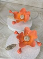 IMG 20250218 WA0075