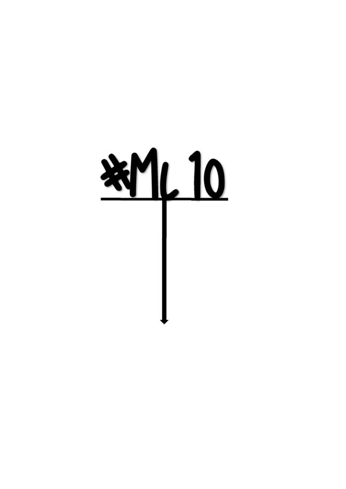 ML 10 TOPER page 0001