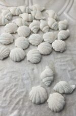 IMG 20250624 WA0070